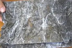 今天才知道，海带上的白霜是什么，怪不得饭店凉拌海带丝那么好吃，原来窍门在这里，几分钟轻松学会图片