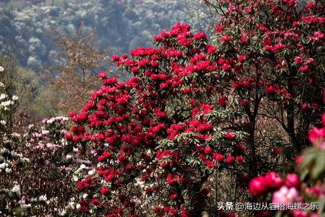 两性之间，女人愿意让你摸她这两个地方，其实就是在默默表白
