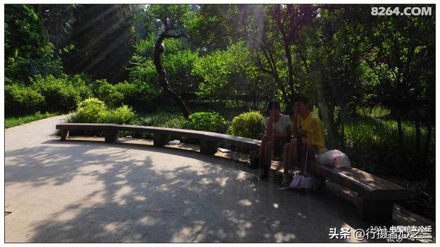 山东行游影记（15）—济南山东大学（二）