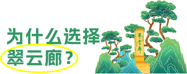 这个暑假，让孩子用眼睛收藏千年古蜀道