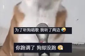 狗狗会唱歌？比人唱的还好听？网友评论笑死了😂图片