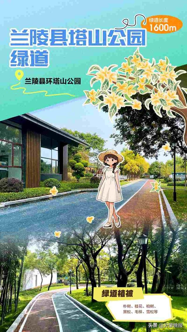 藏不住了！临沂35条诗意绿道，道道有风景，步步皆诗意