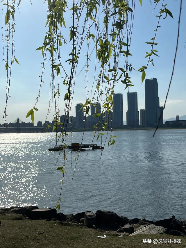 南昌滨江月季园，散步好去处！