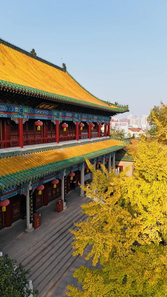 生为山东「银」，何其有「杏」！