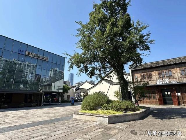 杭州城记·火车西站与梦想小镇