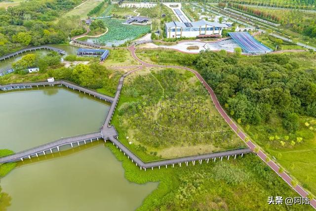 河南信阳的龟山湖景区不仅能免费玩，还能免费露营和摘板栗