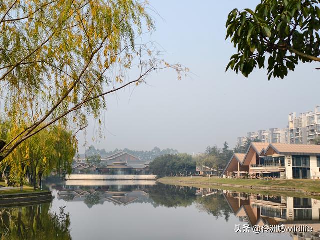 四川行(75)广汉②金雁湖公园·黑塔街·龙居寺