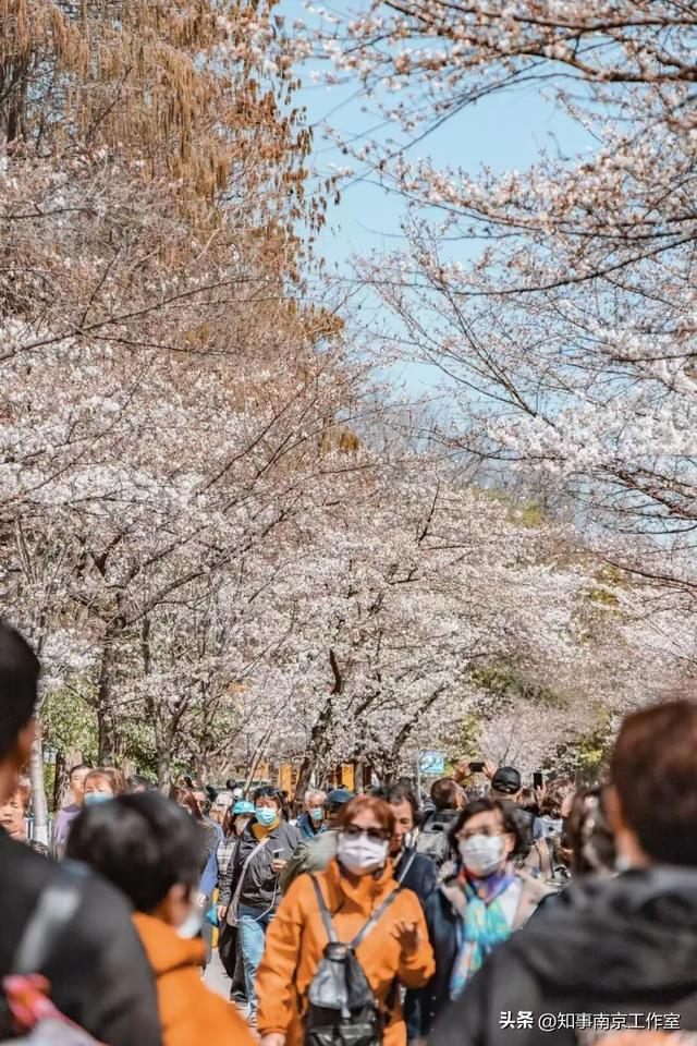 金陵古寺 各有风华