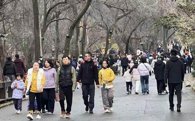 双休日全约满！千山圈粉众多鞍山游客