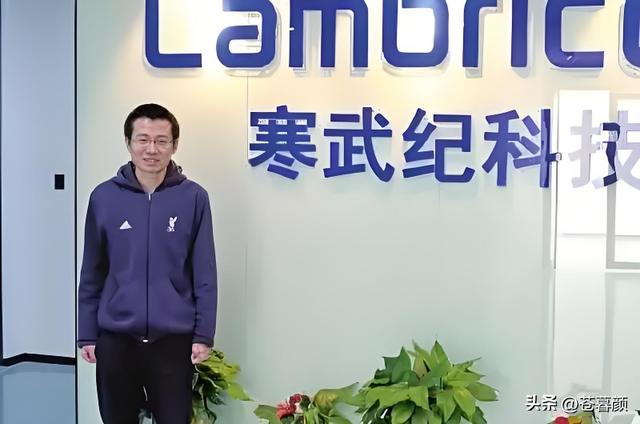 美国白断供了？江西两兄弟突破芯片封锁，联手打造中国AI“心脏”
