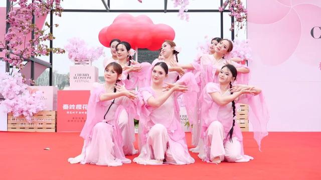 2026年徽县第八届金徽酒秦岭樱花节启幕