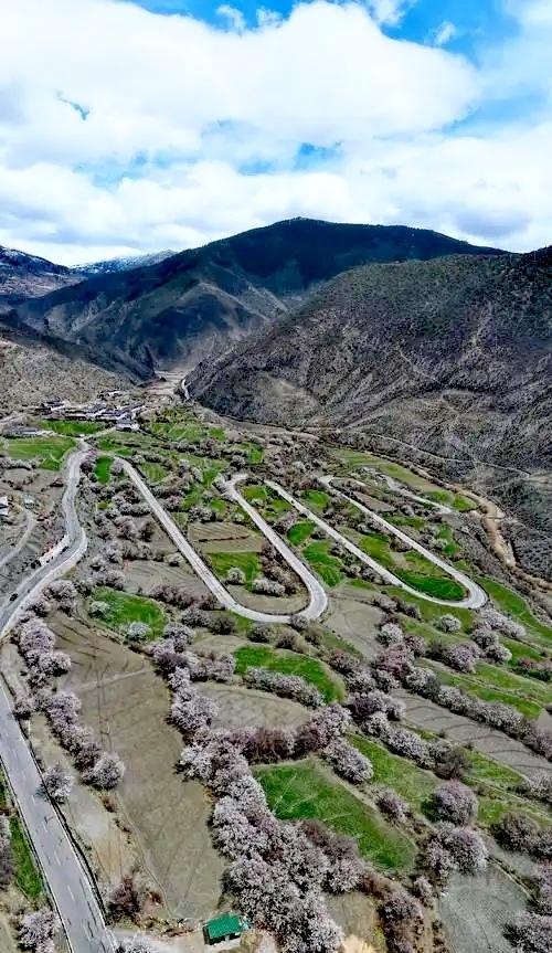 昌都•洛隆，神山景色优美，动植物资源丰富