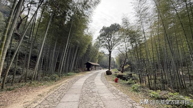 富阳庙山坞，藏着《富春山居图》的创作密码！走，带你穿越回元代