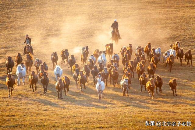达达线经典自驾路线，解锁人少景美的秋日童话