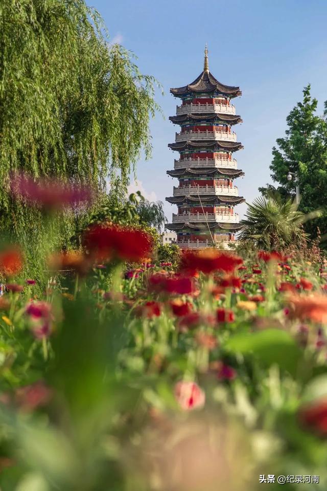 尽情地学习、经历、旅游，品尝美食时，就会发现，人生可以很美好