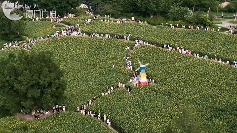 国庆假期厦门“出圈”密码→