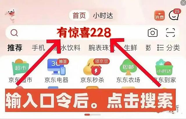 2025年京东双十一活动红包口令【有惊喜228】京东双十一满减优惠券，买苹果手机优惠券领取