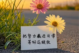 今日文案｜“热爱”是面对生活最好的解药图片