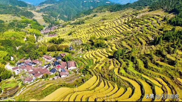 崇山峻岭间，英川镇凤凰寨梯田，以其千年积淀的农耕智慧静默矗立