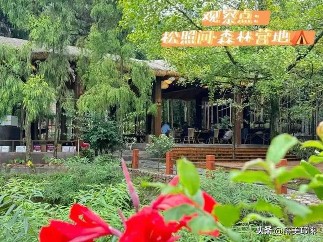 10月4日，在天台后山·松鼠乐园与“林间精灵”共赴一场山野之约！