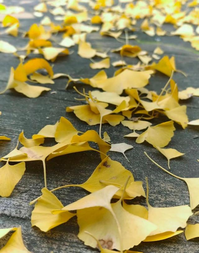 岁月始冬	，一路向东。