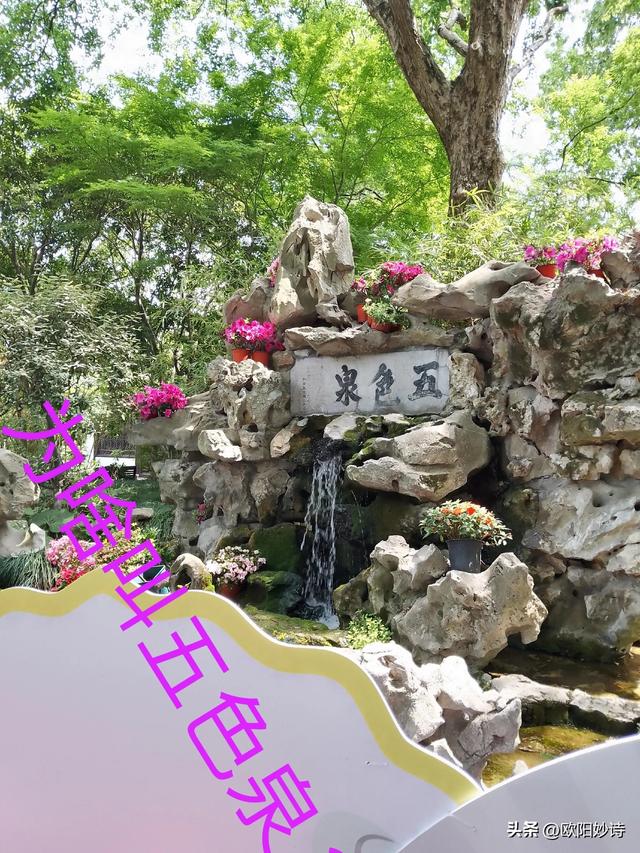 我和老公去上海“方塔公园”玩，没想到路上又捡了“醉白池公园”