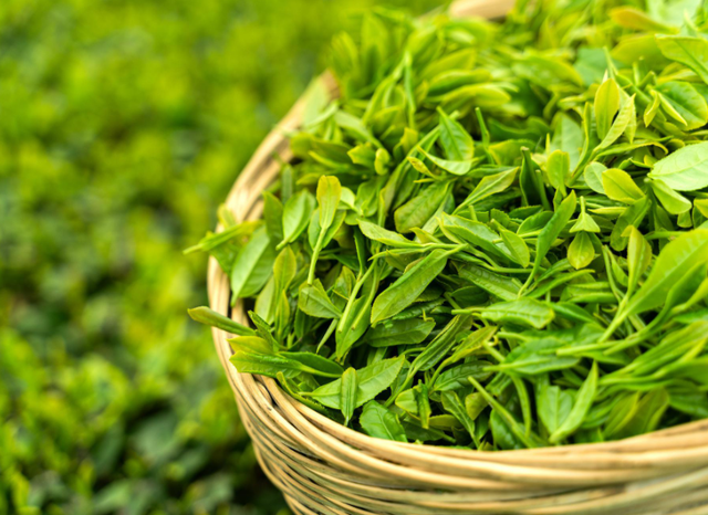 甲流死亡人数持续上涨？钟南山建议：少吃鸡肉，多喝几样增强免疫