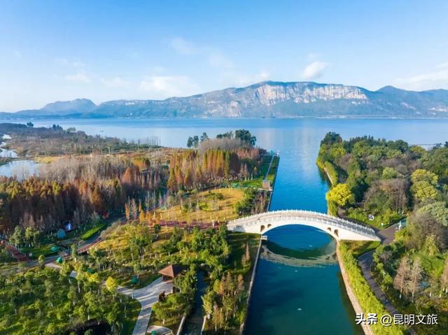 超详细攻略！在昆明官渡，与鸥共舞，六种玩法开启冬日漫游！