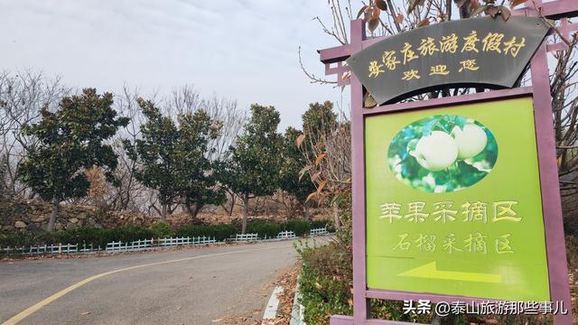 泰安：城东有一个村落，藏着东部首家高端旅游度假区，养心安心