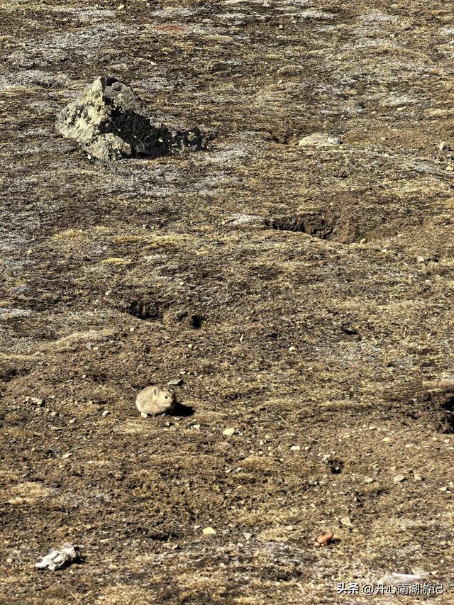 喀什经317到成都，比如县白嘎乡-边坝县，观萨普神山