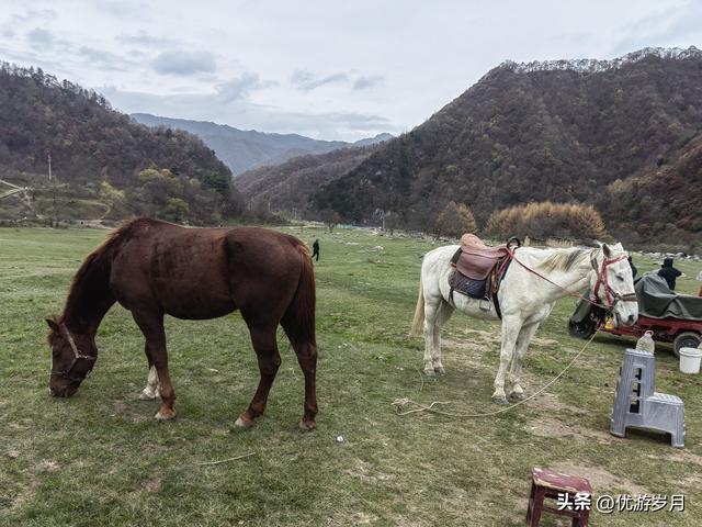 秦岭狮子沟牧场&牛奶湖