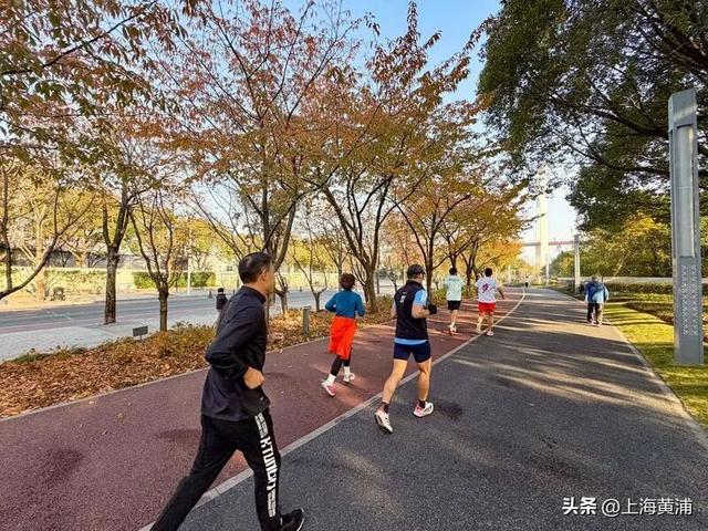 最美的季节！一起来静谧斑斓的黄浦滨江晨跑吧！