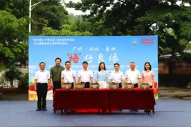 尽享“梅”好时光！从化区良口镇第十八届杨梅节启幕图片