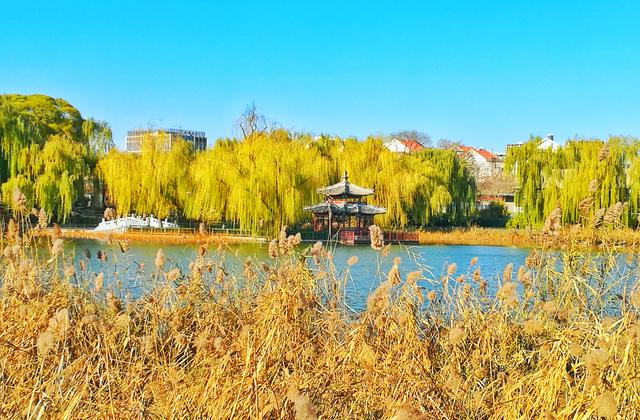 狂风散尽现碧空 北京市民陶然亭公园共赴“大风蓝”之约