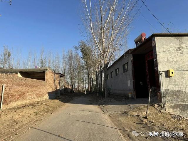 冠县乡韵·贾镇荆楼村