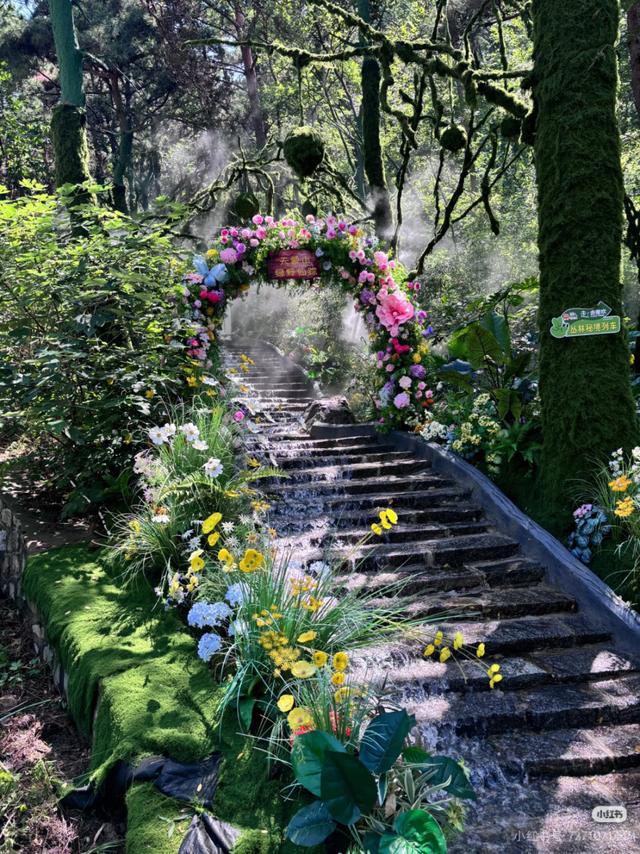 惊！临沂这处景点免门票，多省游客+刀郎演唱会观众可享