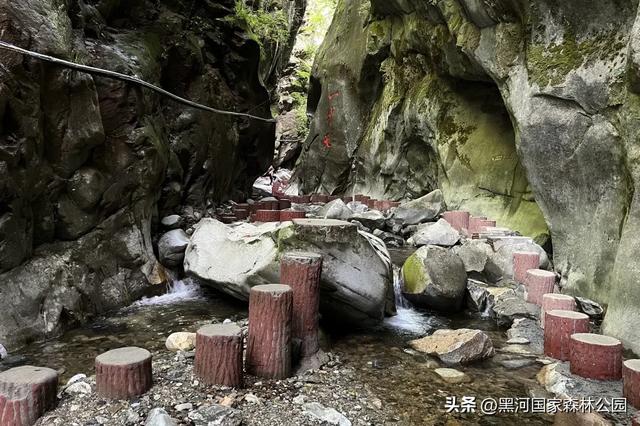 秋意漫染黑河，清风轻吟，邂逅一场如诗的秋日美景