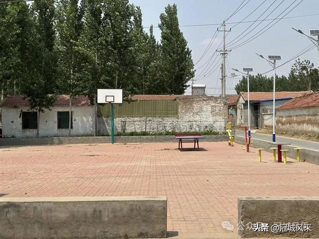 冠县乡韵·柳林镇三里屯村