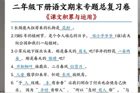 二年级下语文期末专题总复习卷《课文积累与运用》含答案10页图片