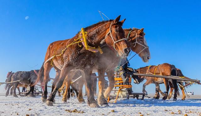 属马的你	，今年最大的难题，不是事，而是“人	”！