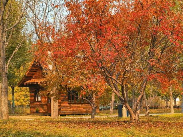 赏秋登高正当时！丰台这些好去处——