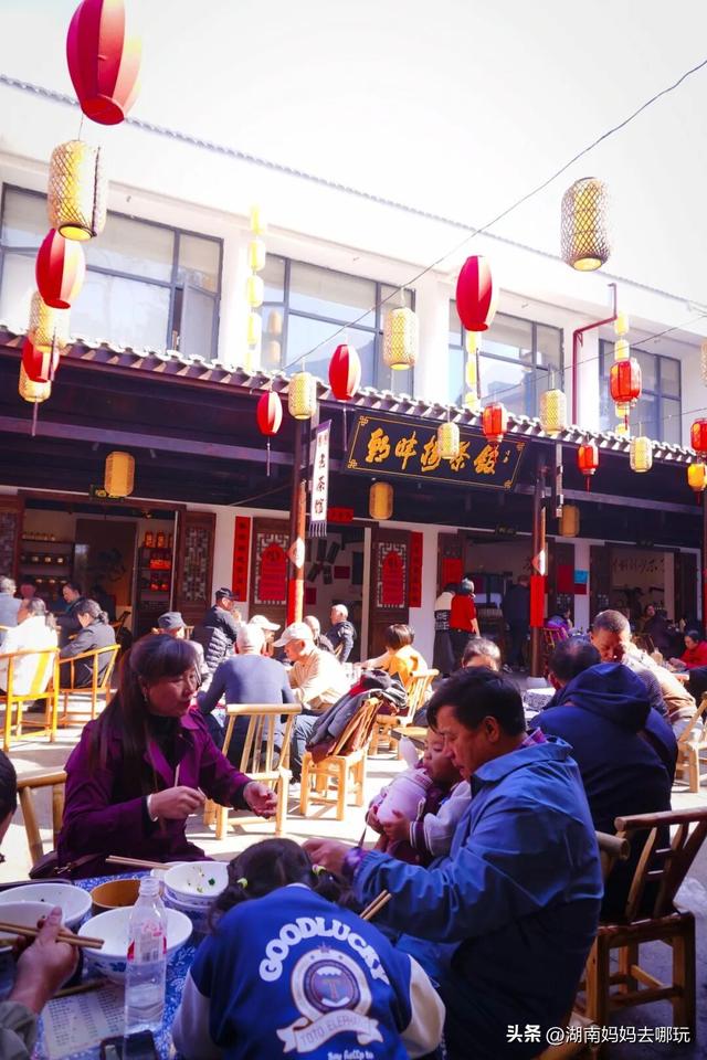 速报！这个地方银杏浓度达100%，赏芦苇、砍甘蔗，遛娃惊喜超多！