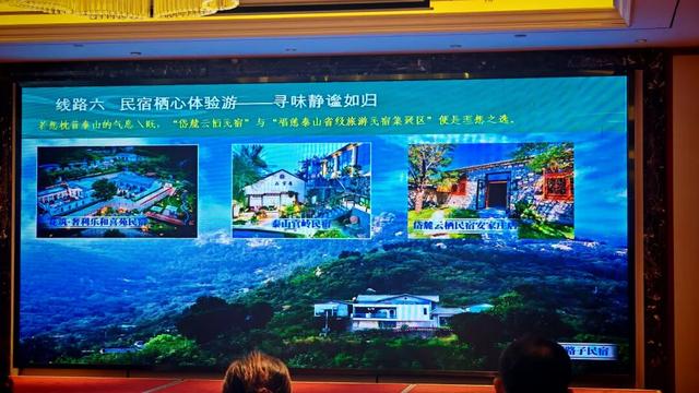 迎国庆｜泰山区推出7条线路解锁秋日新玩法