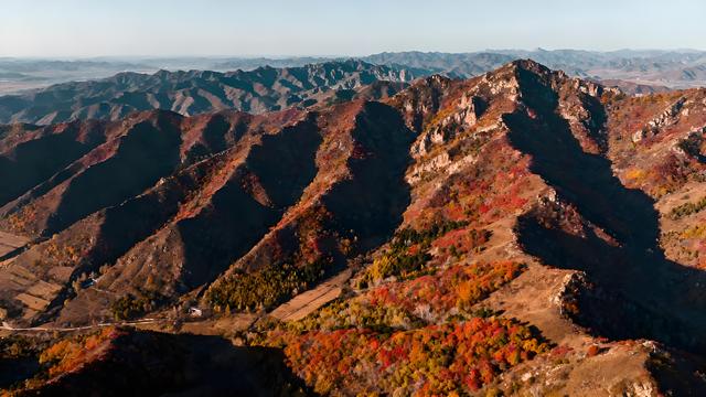 雁字裁云处，青城染就北疆最瑰丽的秋色长卷