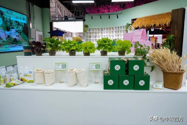 如何用 NPC 演艺 + 微演艺激活休闲农文旅？