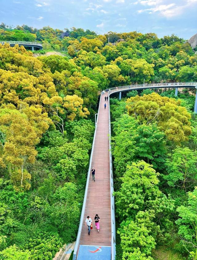 厦门山海健康步道林海线一期，全长约18千米，一共有五大景观节点