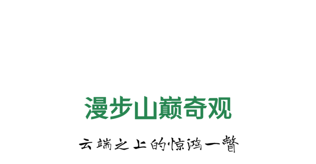 速冲！5省免门票，这个9月天蒙山杀疯了！