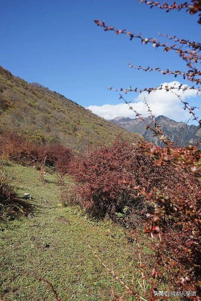 成都不远！这三个地方的红叶，美得很超过！