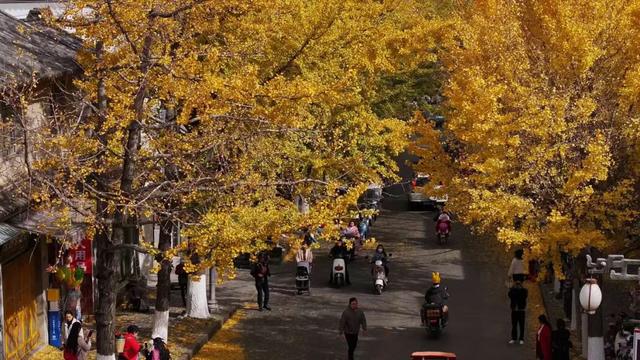 大理又要开“滤镜”了