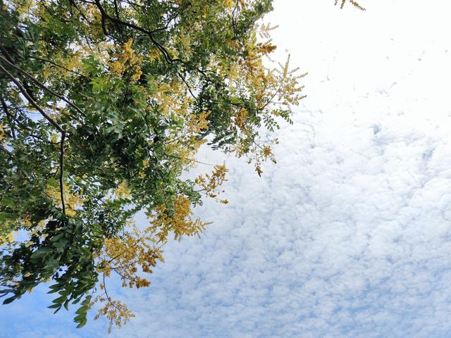 秋意初染的时节，在苏州湖畔的公园享受一份惬意！